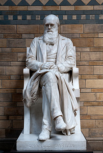 查尔斯达尔文雕像数字艺术博物学家历史起源雕塑大理石英语生物学适者背景