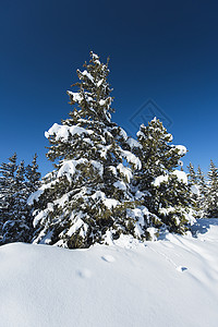 高山高山山脉的冰雪风景与摇篮爬坡道蓝色旅行森林全景针叶树干远景树木天空背景图片