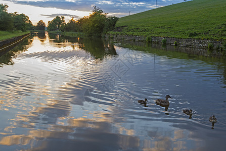 英国运河在农村环境中的视角全景场地反射野鸭纤道水路野生动物假期天空风景背景图片