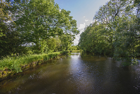 英国运河在农村环境中的视角树木多云天空反射英语角落水路乡村风景弯曲背景图片