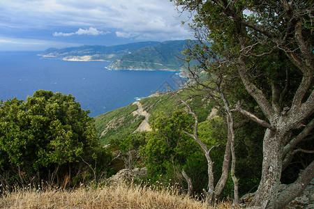 Cap Corse 浮景大礼包马戏团旅行支撑风景绿色假期海岸天空蓝色背景图片