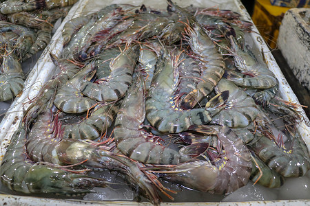 巴厘岛海鲜烹饪海洋高清图片