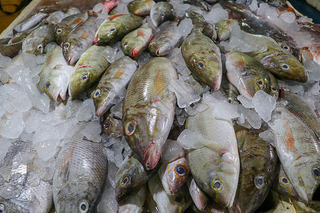 巴厘岛海鲜抓住健康高清图片