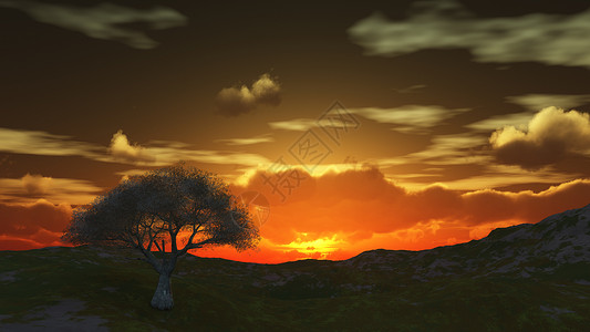 日落在草地和孤独的树空地叶子阴影场地天空地平线土地渲染场景插图背景图片