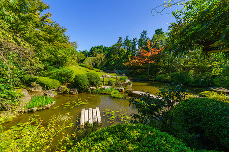 妙心童趣京都Taizoin寺的Yokoen园子花园遗产花园池塘退藏文化旅行公园历史性妙心旅游背景