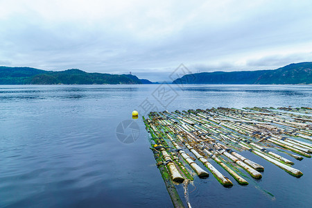 魁北克的码头海岸日志地标支撑风景旅游旅行峡湾荒野高清图片