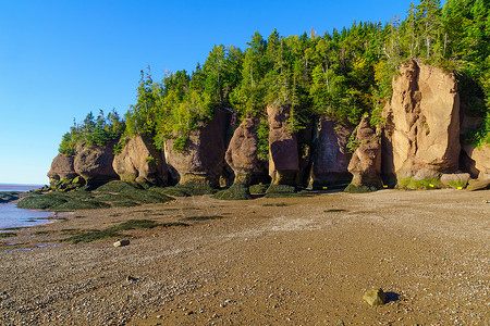 和合二仙低潮时的霍普威尔岩岩石沿海悬崖地面编队潮汐海岸海滩侵蚀花盆背景
