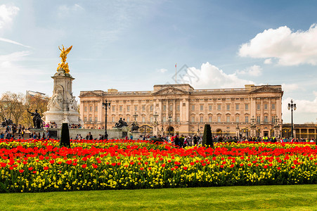 乌尔卡尼亚公园雕像白金汉宫和维多利亚纪念馆在春天旗帜金子游客住宅白金汉兴趣英语旅行公园首都背景