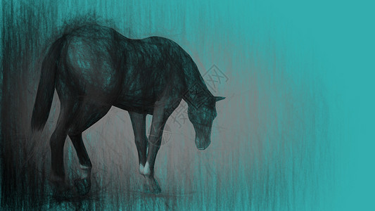 数字3d马匹插图宠物鬃毛自由黑色荒野动物野马力量草图绘画背景图片