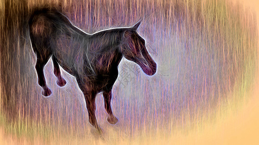 数字3d马匹插图野马自由黑色艺术农场鬃毛动物草图力量绘画背景图片