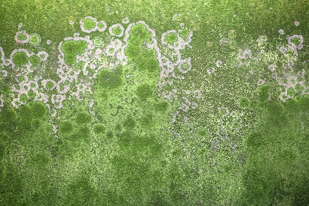 穆夫垃圾墙面背景绿色纹理油漆水泥背景墙苔藓湿度背景图片
