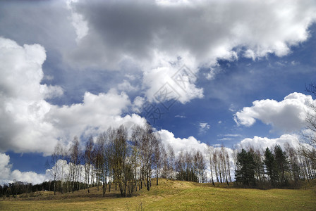 早春初春农村景观天气草地场地晴天土地阳光植物蓝色国家天空背景图片