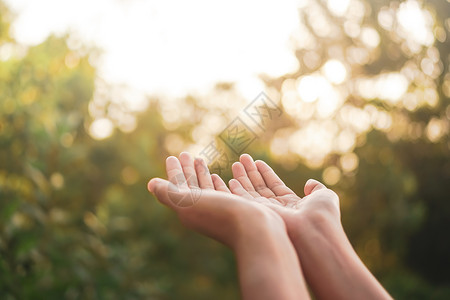 祈祷手女人手放在一起 就像在大自然的绿色背景面前祷告一样天空女士手指冥想女性佛教徒生活生长宗教海滩背景