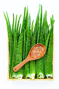 维拉纳Aloe vera是健康美的药用植物治疗宏观卫生保健床单温泉草本植物化妆品皮肤科滋润背景