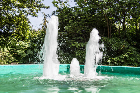 绿池喷泉灌木丛绿色明镜树叶花园盆地树木植物灌木蓝色高清图片