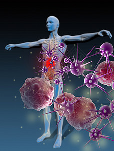 免疫细胞卡通防治疾病豁免组织缩影保健科学人体病原医疗药品细胞微生物免疫背景