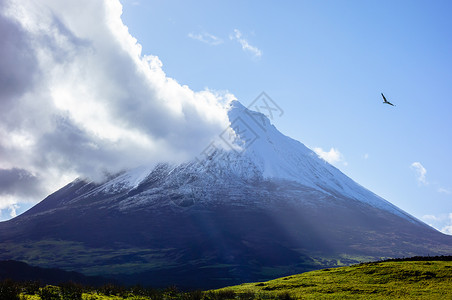 蛇麻草锥体皮科山火山与云层触碰的峰顶背景