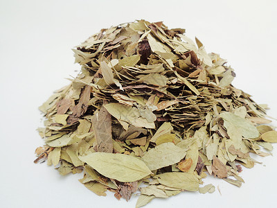 干番泻叶 也称为 daun jati 瓷器 有白色背景 这种叶子通常用作凉茶 此茶清爽 有特殊香气豆荚泻药热带草本植物决明子食物背景图片