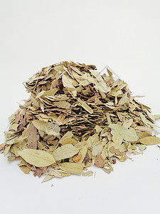 干番泻叶 也称为 daun jati 瓷器 有白色背景 这种叶子通常用作凉茶 此茶清爽 有特殊香气热带阳光豆荚决明子花草植物便秘背景图片