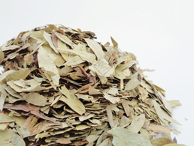 干番泻叶 也称为 daun jati 瓷器 有白色背景 这种叶子通常用作凉茶 此茶清爽 有特殊香气豆荚花草阳光泻药决明子便秘热带背景