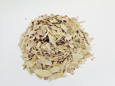 干番泻叶 也称为 daun jati 瓷器 有白色背景 这种叶子通常用作凉茶 此茶清爽 有特殊香气泻药决明子豆荚便秘食物阳光热带背景图片