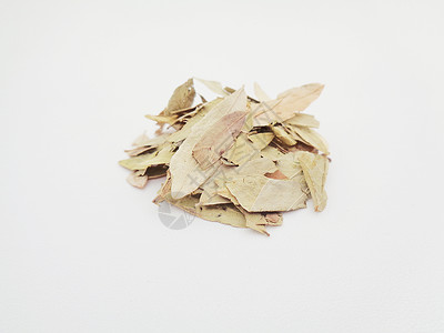 干番泻叶 也称为 daun jati 瓷器 有白色背景 这种叶子通常用作凉茶 此茶清爽 有特殊香气阳光草本植物豆荚决明子药品便秘背景图片