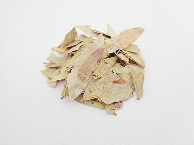 干番泻叶 也称为 daun jati 瓷器 有白色背景 这种叶子通常用作凉茶 此茶清爽 有特殊香气植物花草热带泻药阳光药品决明子背景图片