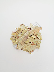 干番泻叶 也称为 daun jati 瓷器 有白色背景 这种叶子通常用作凉茶 此茶清爽 有特殊香气药品热带环境花草决明子食物泻药背景图片