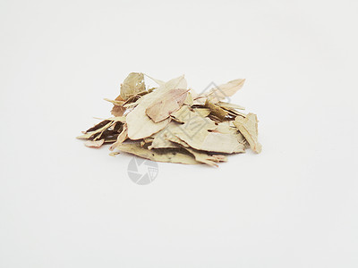 干番泻叶 也称为 daun jati 瓷器 有白色背景 这种叶子通常用作凉茶 此茶清爽 有特殊香气泻药阳光草本植物环境食物豆荚便背景图片