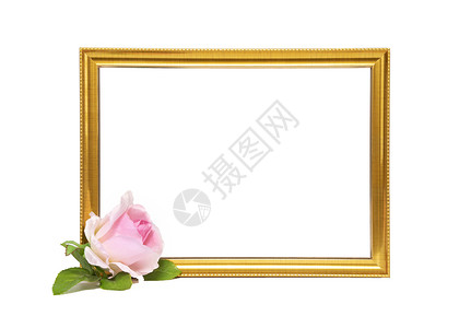 粉红四角框金框和粉红玫瑰背景