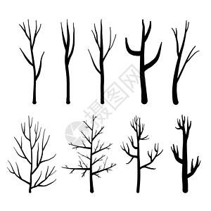 黑色树素材在白色背景上设置的树木裸树的集合 矢量图插图艺术绘画枝条季节花园黑色草图植物季节性插画