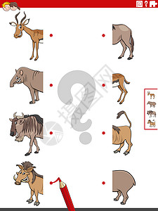 游戏牛素材将一半的图片与动物教育任务配对解决方案卡通片闲暇羚羊疣猪插图资产野生动物工作工作簿设计图片