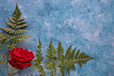 芳基涂料背景上的一朵红玫瑰蓝色玫瑰绘画刷子艺术海报墙纸纪念日周年帆布背景