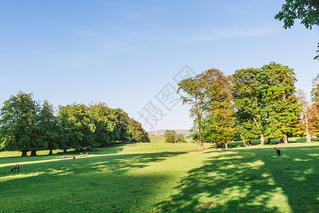 可克达拉市Dallam公园开放的公园园地 在英国坎布里亚市Milnthorpe 阳光明媚的夜晚树木溪流天空风景田园牧场国家绿地农业草地背景