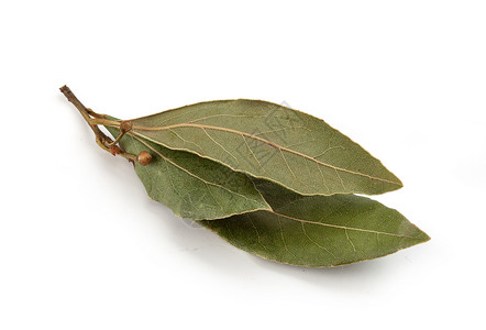 干焦叶绿色树叶收成香料植物群食物植物产品背景图片