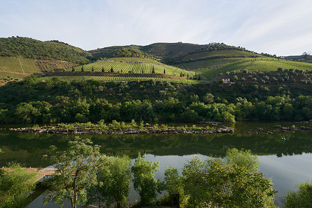 邦比尼亚斯杜罗河谷葡萄酒产区高清图片