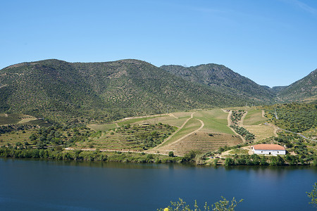 基比尼山脉葡萄牙杜罗河葡萄酒谷地区产区鸟瞰图地标收成葡萄园天空葡萄晴天爬坡旅行背景