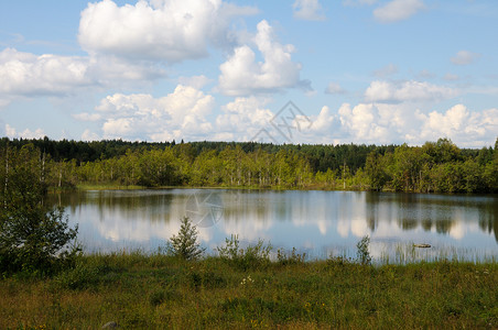 森林中的卡雷连野湖天空灌木丛棘轮蓝色石头草地松树风景反射草原背景图片
