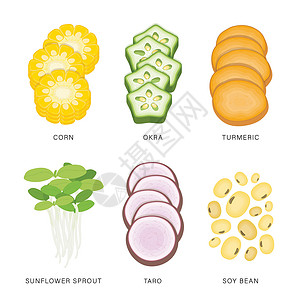 蛋白质组组的蔬菜切片 有机和健康食品分离元素矢量图卡通片秋葵草本植物沙拉美食热带花园农业生长花生插画