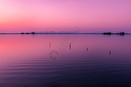 阿卡达自然紫色的高清图片