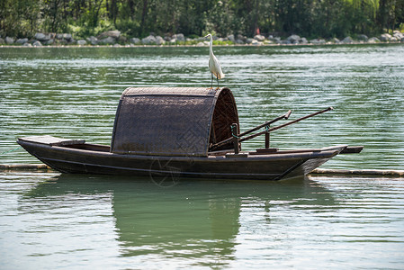 成都白鹭湾湖边中国传统渔船上的小埃格雷特人背景