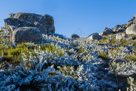 鲁皮尼亚斯崎岖的多岩石的高清图片