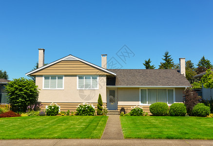蓝天背景 前面有绿草坪和树木的平均家庭住宅面积蓝色绿化园林门廊房子代理人天空入口草地窗户背景图片