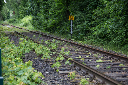 特蕾西亚古老的铁路轨迹 通往矿山铁轨棕色矿业煤炭交通枕木窄轨火车机车煤矿背景