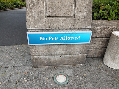 允许的不允许蓝宠物在水泥墙上签字动物指示牌灯光背景