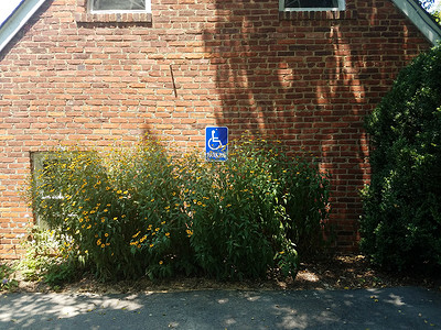 带有蓝色残疾人停车标志的红砖墙建筑红色植物轮椅指示牌残障石工绿色人士背景图片