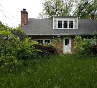 有高草的废弃房屋或废墟灌木丛草地植物建筑房子院子高清图片
