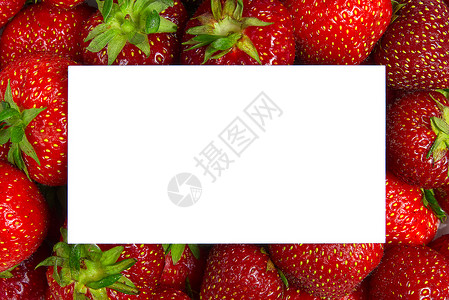 草莓蛋糕店名片背景多汁有机草莓 带白色模型卡装饰品反射宏观风格墙纸装饰水果团体浆果季节背景