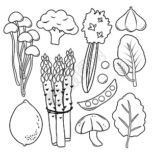 蒜茸拌甘蓝蔬菜卡通线图标和符号 Vecto美食花园菠菜芹菜沙拉生长厨房生态热带农业设计图片