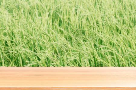 空前钜惠模糊的水稻种植园背景绿色的木板 田间稻田水稻农场的空木桌地板 木桌板空前水稻植物 用于模拟展示产品水稻桌子阳光地面太阳收成乡村阳背景